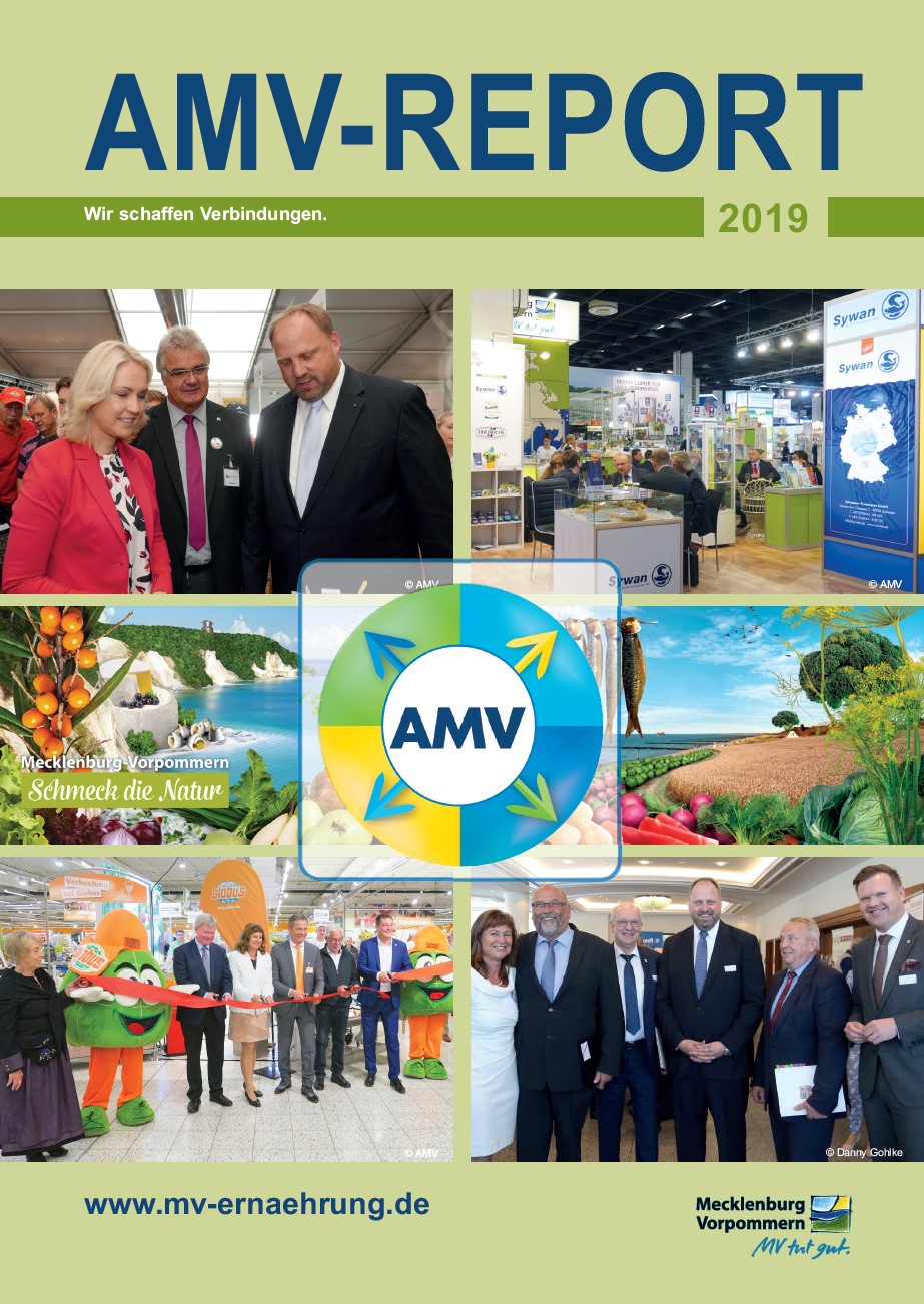 AMV-Report 2019